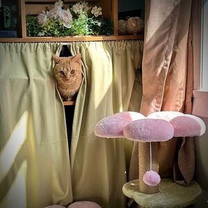 Meet your Posher, Jess